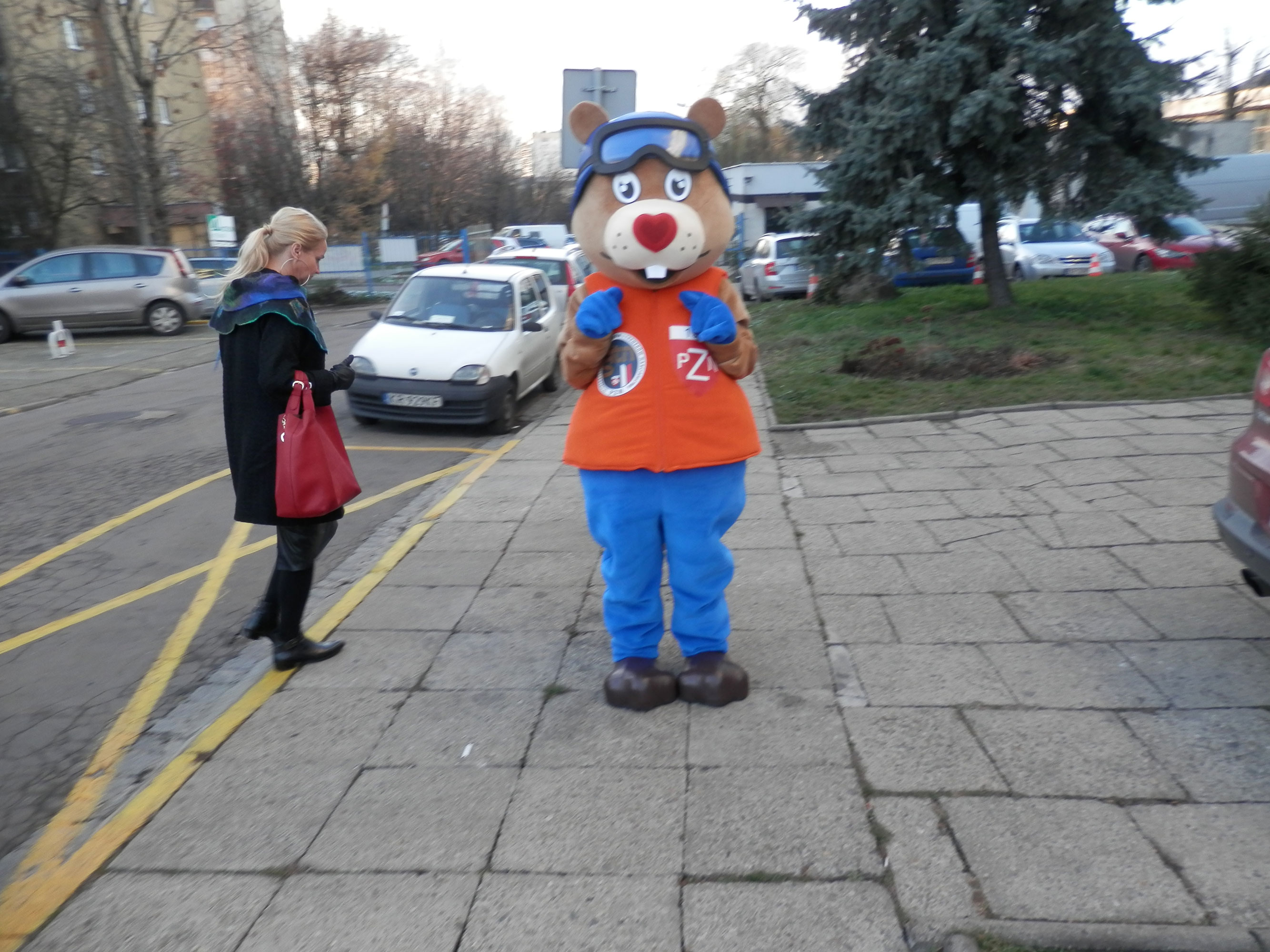 Przygotuj kostiumy reklamowe na zimę. Elabika. Świstak